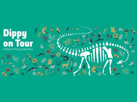 Dippy on Tour
