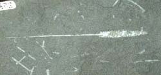 Silurian graptolite from the Southern Uplands