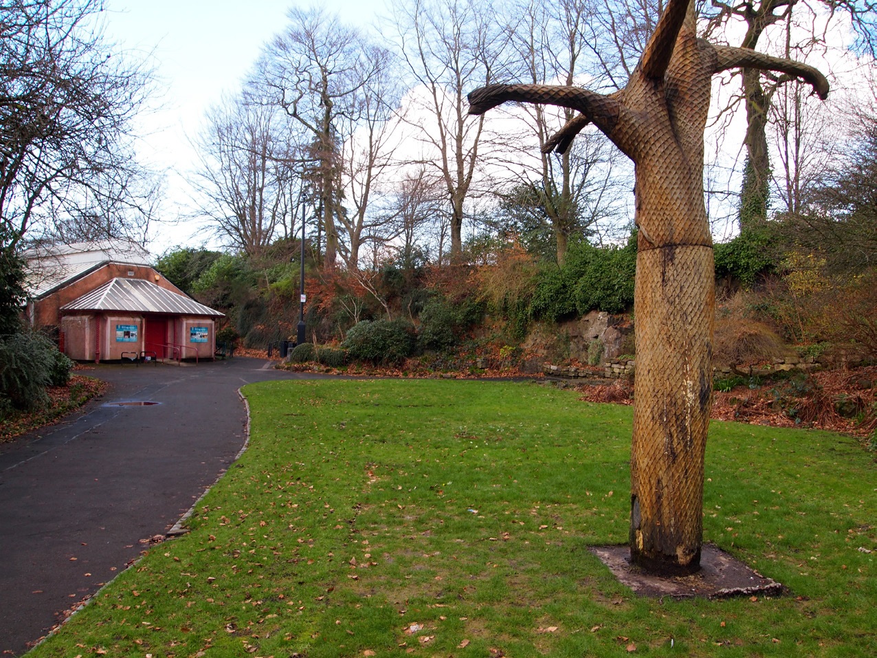Fossil Grove